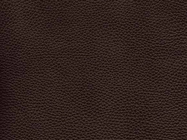 Importer leather 77 LEATHERCOLLECTION 系列 真皮 牛皮 沙發皮革 T7767 黑棗雲彩